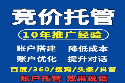 竞价排名的投放策略与效果评估案例